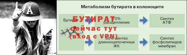 apvp Богданович