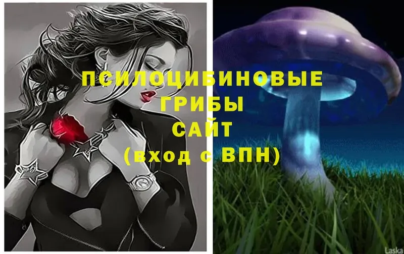 Галлюциногенные грибы Magic Shrooms  Геленджик 